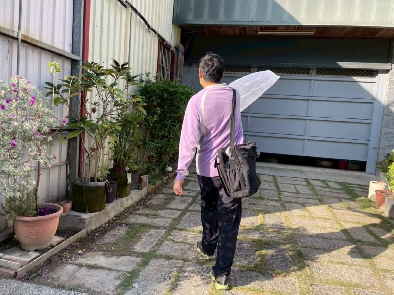 病媒蚊監測人員於社區環境掃蚊和衛生教育